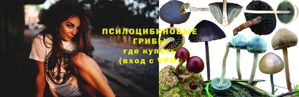 гашик Бронницы