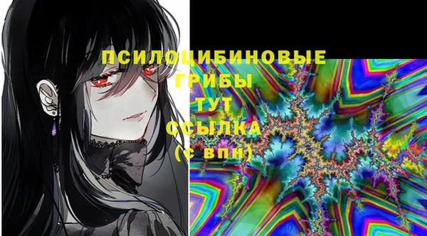 гидра Бугульма
