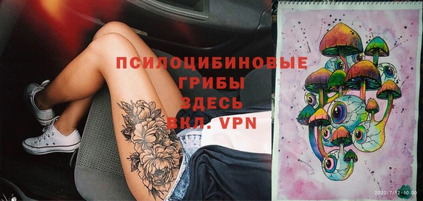 гидра Бугульма