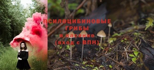 гашик Бронницы