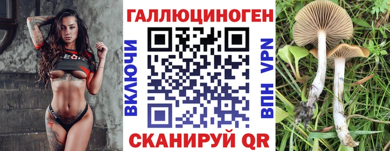 Купить  Дубовка  Галлюциногенные грибы GOLDEN TEACHER 